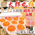 鳥取県 猪口農園 ”太郎丸柿” 秀品 8～12玉前後 約3kg【予約 10月下旬以降】 送料無料
