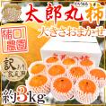 鳥取県 猪口農園 ”太郎丸柿” 訳あり 約3kg 大きさおまかせ【予約 10月下旬以降】 送料無料