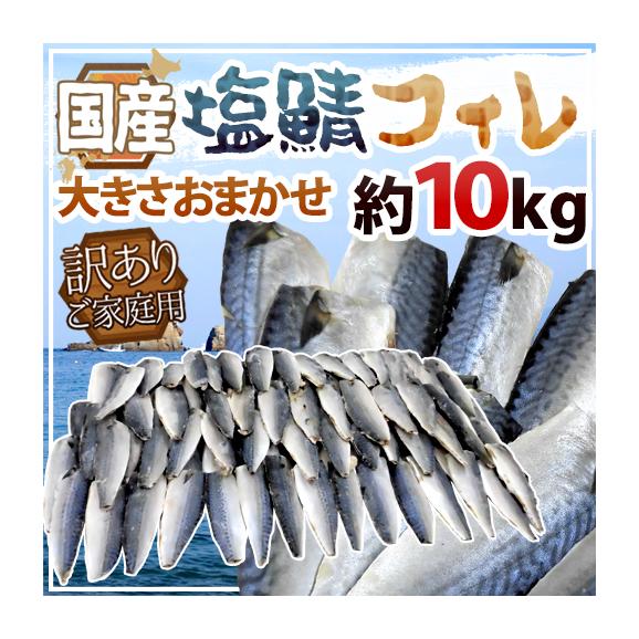 国産 ”塩鯖フィレ” 訳あり 約10kg 大きさおまかせ 三枚おろし サバ 送料無料01