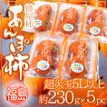 福島産 JAふくしま未来 ”あんぽ柿” 超特大玉5Lサイズ以上 約230g×5pc 蜂屋柿使用【予約 12月末以降】 送料無料