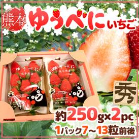 熊本県 ”ゆうべにいちご（熊紅いちご）” 秀品 2パック入り（1パック 7～13粒 約250g）×《1箱》【予約 12月以降】 送料無料