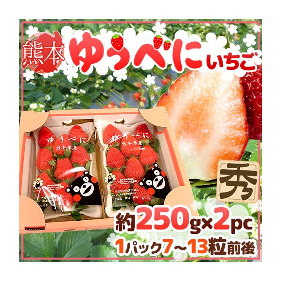 楽天市場】奈良県産 いちご 