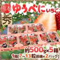 熊本県 ”ゆうべにいちご（熊紅いちご）” 秀品 2パック入り（1パック 7～13粒 約250g）×《5箱》【予約 12月以降】 送料無料