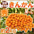 宮崎・鹿児島県 ”きんかん” 秀品 M～L 約2kg 金柑【予約 11月下旬以降】 送料無料