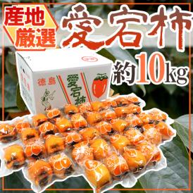 ”愛宕柿” 秀品 約10kg 大きさおまかせ 産地厳選 あたご柿【予約 12月末以降】 送料無料