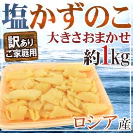 ロシア産 ”塩数の子” 訳あり 大きさおまかせ 約1kg かずのこ【予約 入荷次第発送】 送料無料