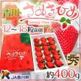 香川県 ”さぬきひめいちご（さぬき姫）” 秀品 12～18粒前後 約400g 産地化粧箱【予約 12月以降】 送料無料