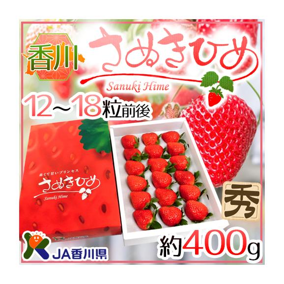定番人気！ いちご ふるさと納税 やわらか 12月上旬頃 さぬき市 香川県 トップス
