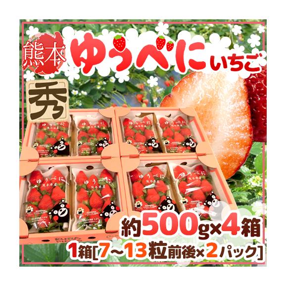 熊本県 ”ゆうべにいちご（熊紅いちご）” 秀品 2パック入り（1