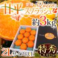 愛媛産 ”甘平 愛媛Queenスプラッシュ” 特秀品 2Lサイズ以上 8～12玉 約3kg 化粧箱 糖度13度以上【予約 1月中旬以降】 送料無料