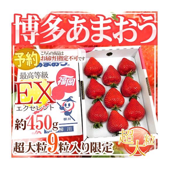 福岡産いちご ”博多あまおう” 最高等級EX(エクセレント) 1箱 福岡産いちご ”博多あまおう” 最高等級EX(エクセレント) 1箱