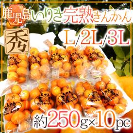 鹿児島県入来産 ”完熟きんかん いりき” 秀品 L～3Lサイズ 約250g×《10pc》【予約 12月以降】 送料無料