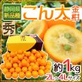 静岡県 ”こん太きんかん” 秀品 2L～4Lサイズ 約1kg 化粧箱 金柑 まるかじり金柑【予約 1月末以降】 送料無料