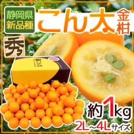 甘くて酸っぱい冬の味・金柑♪酸味と苦みの少ない新品種！