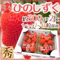 熊本県 ”ひのしずくいちご” 秀品 2パック入り（1パック 7～13粒 約300g）×《1箱》【予約 12月以降】 送料無料