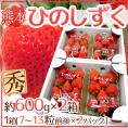 熊本県 ”ひのしずくいちご” 秀品 2パック入り（1パック 7～13粒 約300g）×《2箱》【予約 12月以降】 送料無料