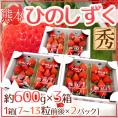 熊本県 ”ひのしずくいちご” 秀品 2パック入り（1パック 7～13粒 約300g）×《3箱》【予約 12月以降】 送料無料