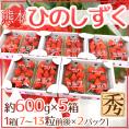 熊本県 ”ひのしずくいちご” 秀品 2パック入り（1パック 7～13粒 約300g）×《5箱》【予約 12月以降】 送料無料
