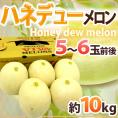 ”ハネデューメロン” 5～6玉前後 約10kg メキシコ・アメリカ産 他【予約 入荷次第発送】 送料無料