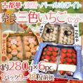 奈良県産 ”いちご三色 3箱セット” 2pc(1pcあたり9~18粒前後 約280g)×3箱 古都華・淡雪・パールホワイト【予約 12月~1月以降】 送料無料