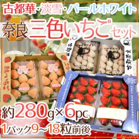 奈良県産 ”いちご三色 3箱セット” 2pc（1pcあたり9～18粒前後 約280g）×3箱 古都華・淡雪・パールホワイト【予約 12月以降】 送料無料