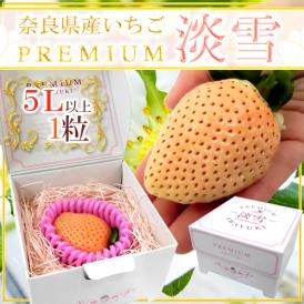 奈良県産 ”プレミアム 白いちご 淡雪いちご” 5Lサイズ 1粒【予約 1月末以降】