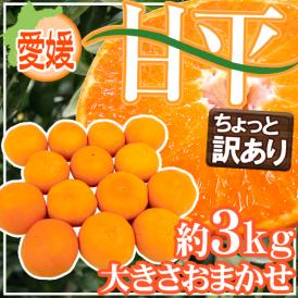 ”愛媛産 甘平” ちょっと訳あり 約3kg 大きさおまかせ【予約 1月中旬以降】 送料無料