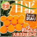 ”愛媛産 甘平” ちょっと訳あり 約2kg 大きさおまかせ【予約 1月中旬以降】 送料無料