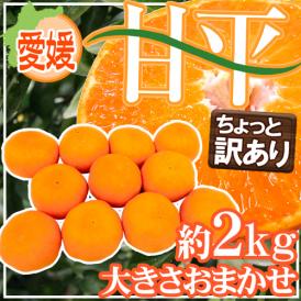 ”愛媛産 甘平” ちょっと訳あり 約2kg 大きさおまかせ【予約 1月中旬以降】 送料無料
