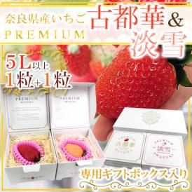 奈良県産 ”プレミアム 白いちご 淡雪いちご＋古都華いちご 紅白セット” 5Lサイズ 1粒＋1粒 専用化粧箱【予約 1月末以降】 送料無料