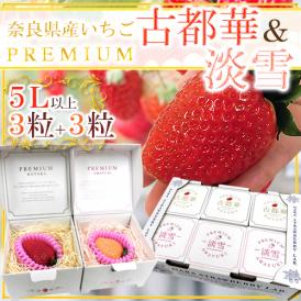 奈良県産 ”プレミアム 白いちご 淡雪いちご＋古都華いちご 紅白セット” 5Lサイズ 3粒＋3粒【予約 1月末以降】 送料無料