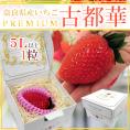 奈良県産 ”プレミアム 古都華いちご” 5Lサイズ 1粒【予約 1月末以降】