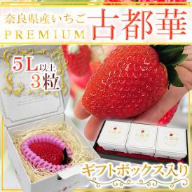 奈良県産 ”プレミアム 古都華いちご” 5Lサイズ 3粒 専用化粧箱【予約 1月末以降】 送料無料
