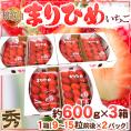 和歌山県 ”まりひめいちご（毬姫苺）” 秀品 2パック入り（1パック 9～15粒 約300g）×《3箱》【予約 12月以降】 送料無料