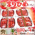 和歌山県 ”まりひめいちご（毬姫苺）” 秀品 2パック入り（1パック 9～15粒 約300g）×《4箱》【予約 12月以降】 送料無料
