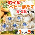 【送料無料】北海道・青森 ”ボイルベビーほたて” S/SSサイズ 約1kg×《5袋》（合計約5kg）