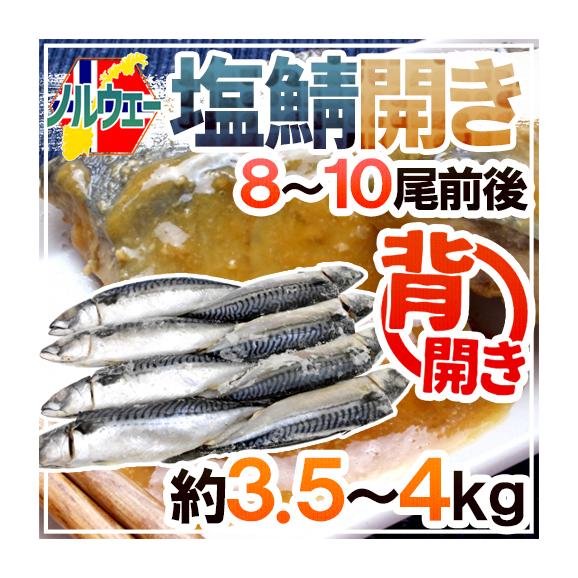 【送料無料】ノルウェー ”塩鯖開き” 8～10尾前後 約3.5～4kg 背開き 塩サバ01