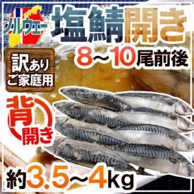 【送料無料】ノルウェー ”塩鯖開き” 訳あり 8～10尾前後 約3.5～4kg 背開き 塩サバ