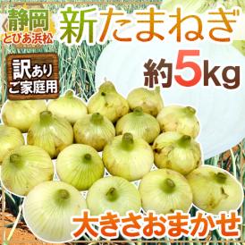 静岡県 JAとぴあ浜松産 ”新たまねぎ” 訳あり 約5kg 大きさおまかせ 玉葱【予約 2月末以降】 送料無料