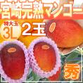 ”宮崎マンゴー” 秀品 超大玉 3Lサイズ 2玉【予約 5月下旬以降】