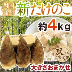 ”新たけのこ” 訳あり 約4kg 大きさおまかせ 西日本産（九州・四国）【予約 3月下旬以降】 送料無料