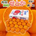 和歌山県 田村産 ”せとか” 訳あり 約5kg 大きさおまかせ 産地箱【予約 2月末以降】 送料無料