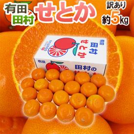 和歌山県 田村産 ”せとか” 訳あり 約5kg 大きさおまかせ 産地箱【予約 2月末以降】 送料無料