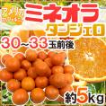 ”ミネオラオレンジ” 30～33玉前後 約5kg カリフォルニア産 ミネオラタンジェロ【予約 3月以降】 送料無料