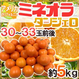 ”ミネオラオレンジ” 30～33玉前後 約5kg カリフォルニア産 ミネオラタンジェロ【予約 3月以降】 送料無料