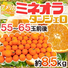 ”ミネオラオレンジ” 55～65玉前後 約8.5kg カリフォルニア産 ミネオラタンジェロ【予約 3月以降】 送料無料