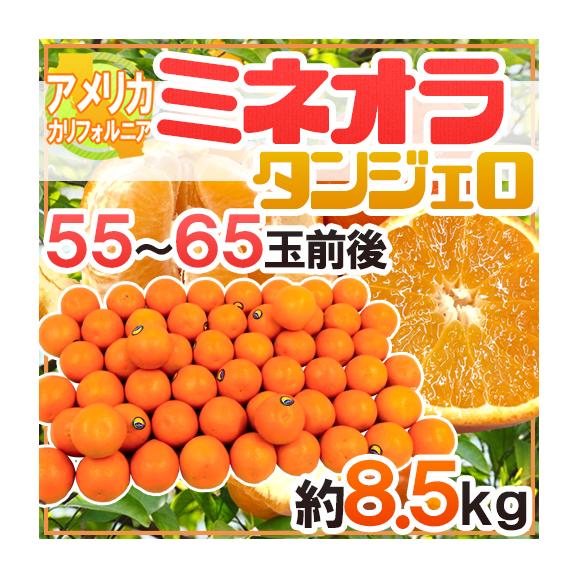 当社の ミネオラオレンジ” カリフォルニア産 約8.5kg 55～65玉前後 オレンジ