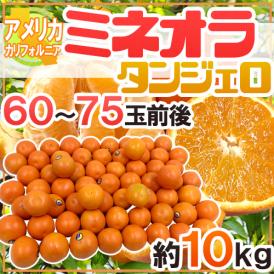 ”ミネオラオレンジ” 60～75玉前後 約10kg カリフォルニア産 ミネオラタンジェロ【予約 3月以降】 送料無料