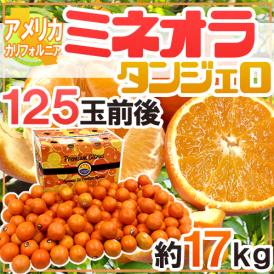 ”ミネオラオレンジ” 125玉前後 約17kg カリフォルニア産 ミネオラタンジェロ【予約 3月以降】 送料無料