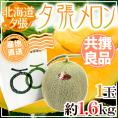 【産地直送】北海道 夕張メロン 1玉 約1.6kg 共撰・良品 化粧箱入り”良5-1玉”【予約 6月下旬以降】 送料無料